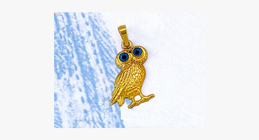 Owl, HD Png Download