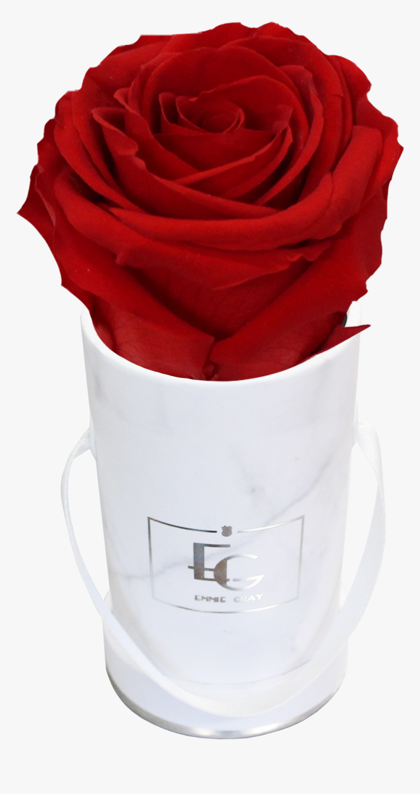 Classic Infinity Rosebox - Emmie Gray Rose, HD Png Download