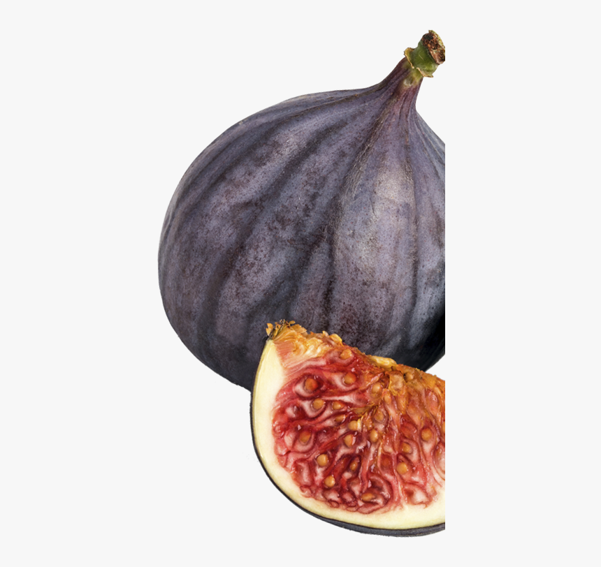 Fynbo Fig Figen Marmelade Jam Højre - Pomegranate, HD Png Download