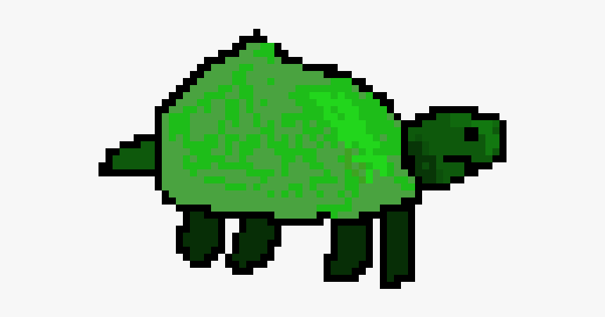 Tortoise, HD Png Download