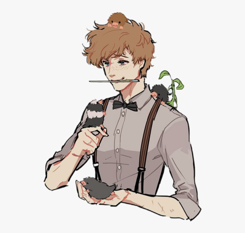 #newt #scamander #newtscamander #fantasticbeasts #niffler - Cute Newt Scamander Drawing, HD Png Download