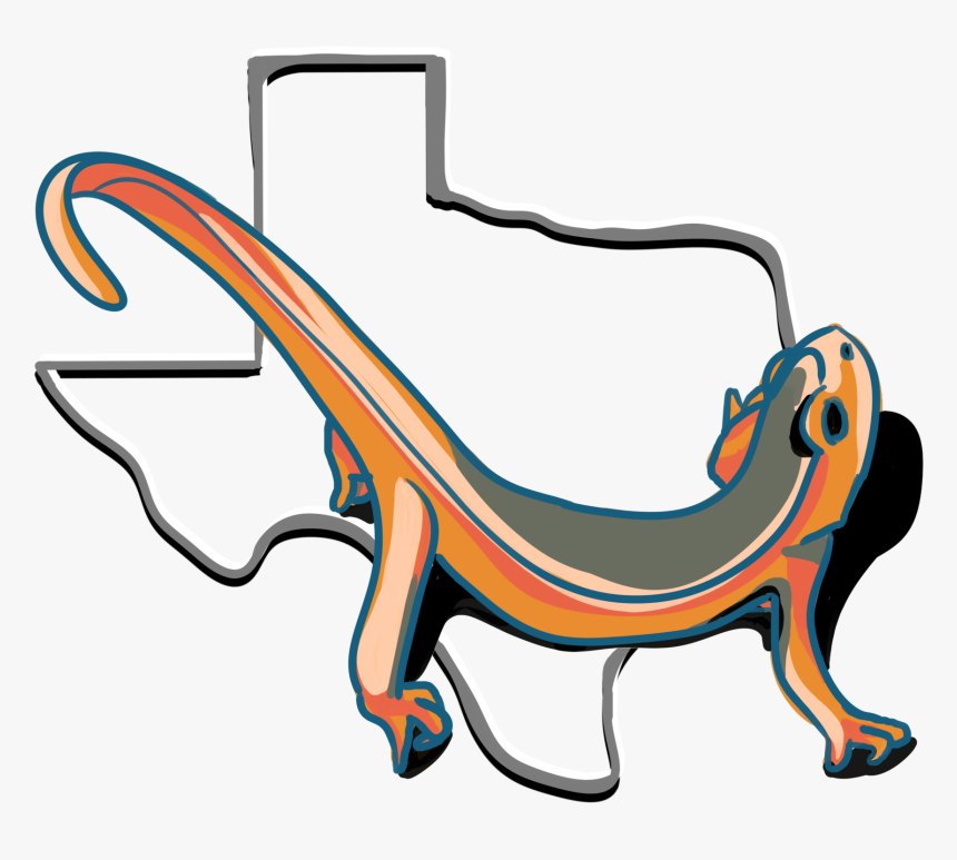 The Teaching Newt, HD Png Download