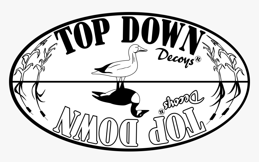 Top Down Decoys, Goose Decoys, Reversible Goose Decoys - Duck, HD Png Download