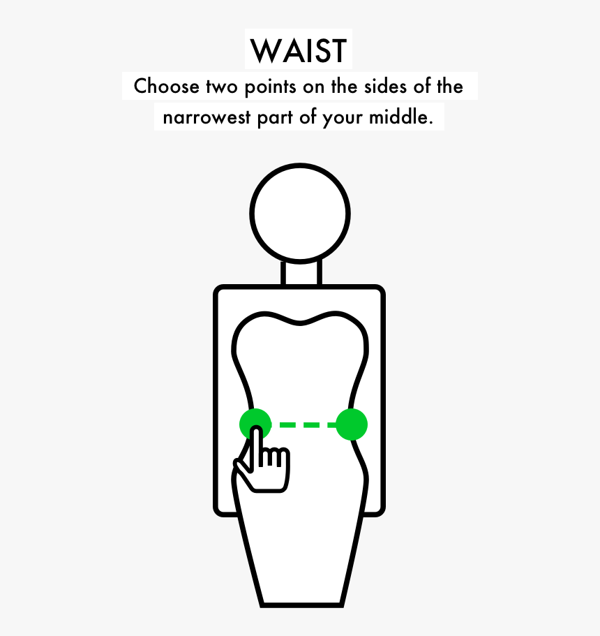 Waist - Illustration, HD Png Download