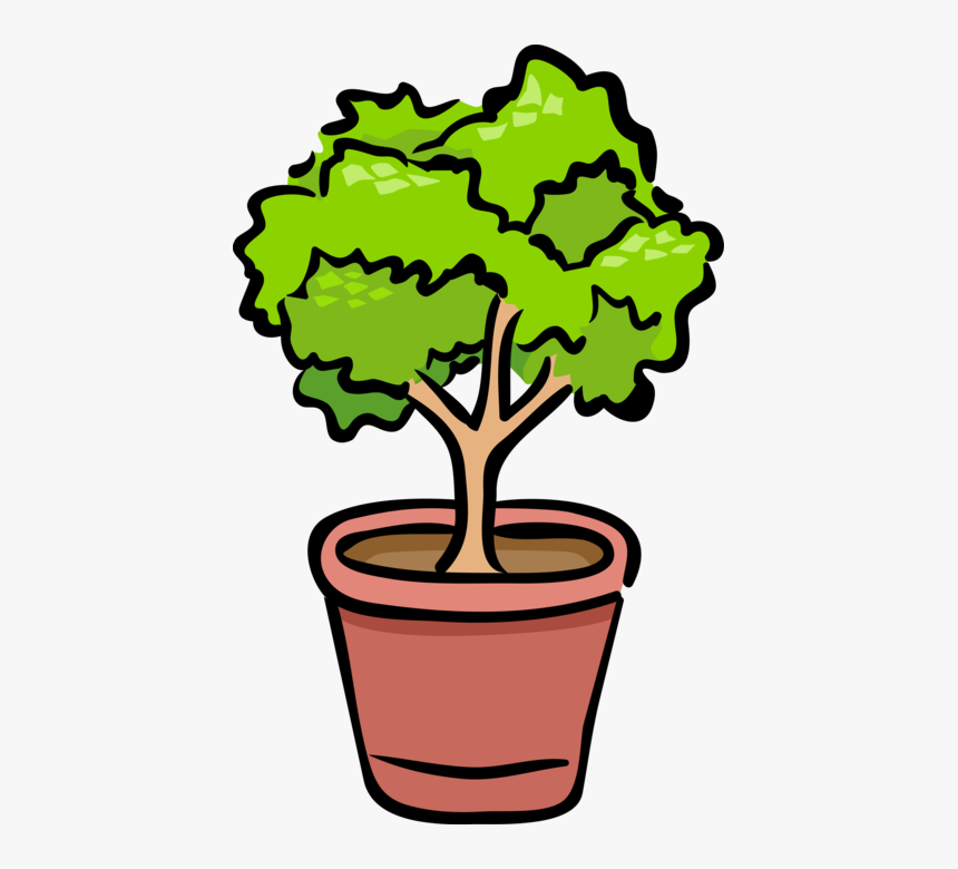 Vector Illustration Of Potted Plant Shrub Or Bush - Benefits Of Phototropism And Gravitropism For Plants, HD Png Download