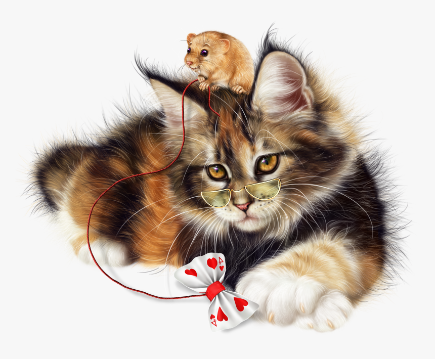 Kitten, HD Png Download