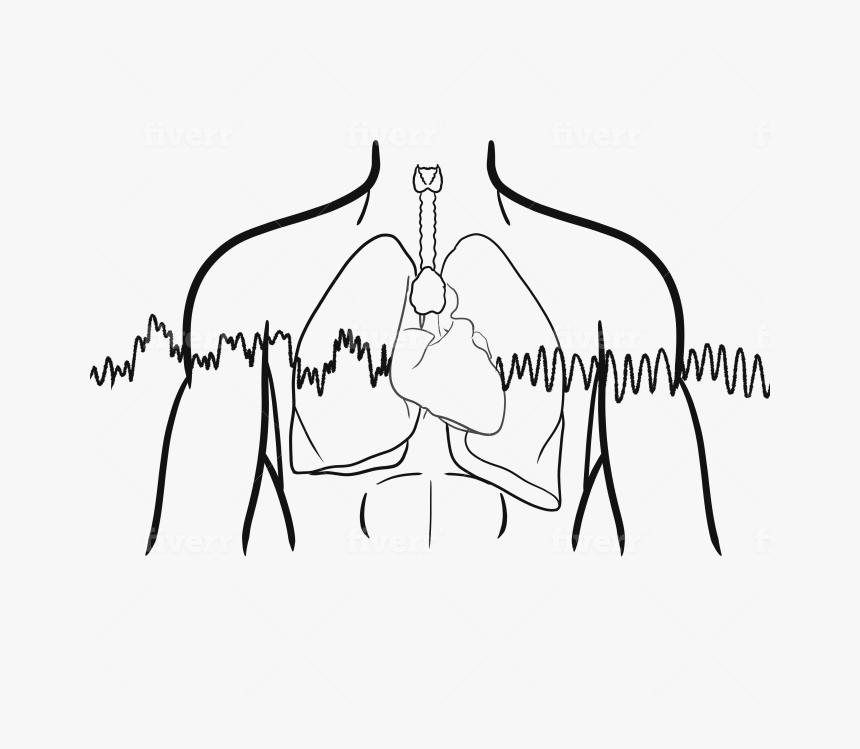 Sketch, HD Png Download