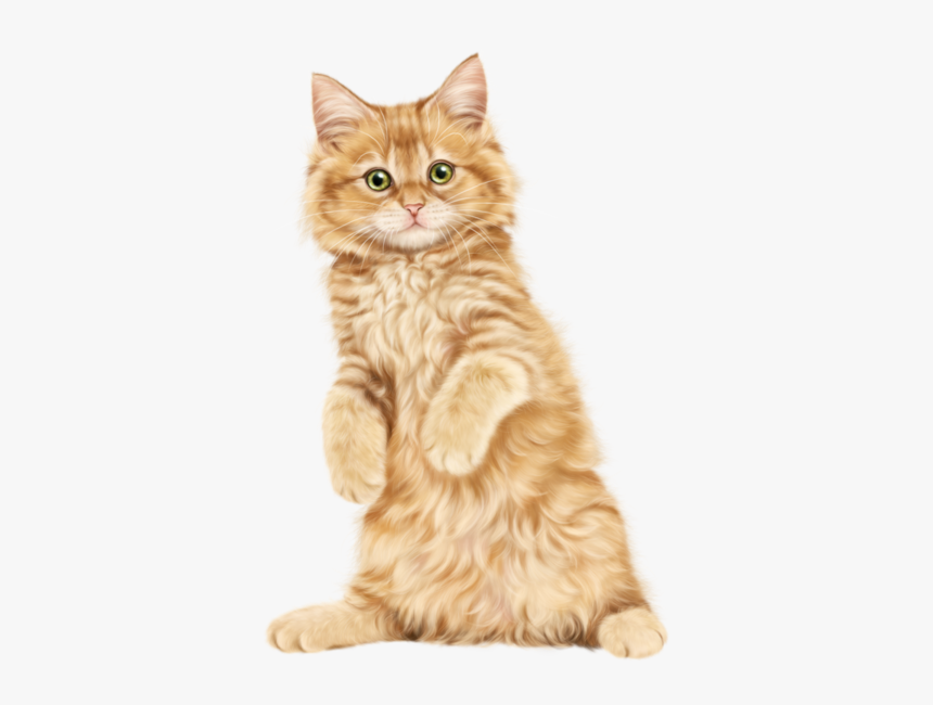 Kitten Cat Clip Art - Persian Kitten Hd Png, Transparent Png
