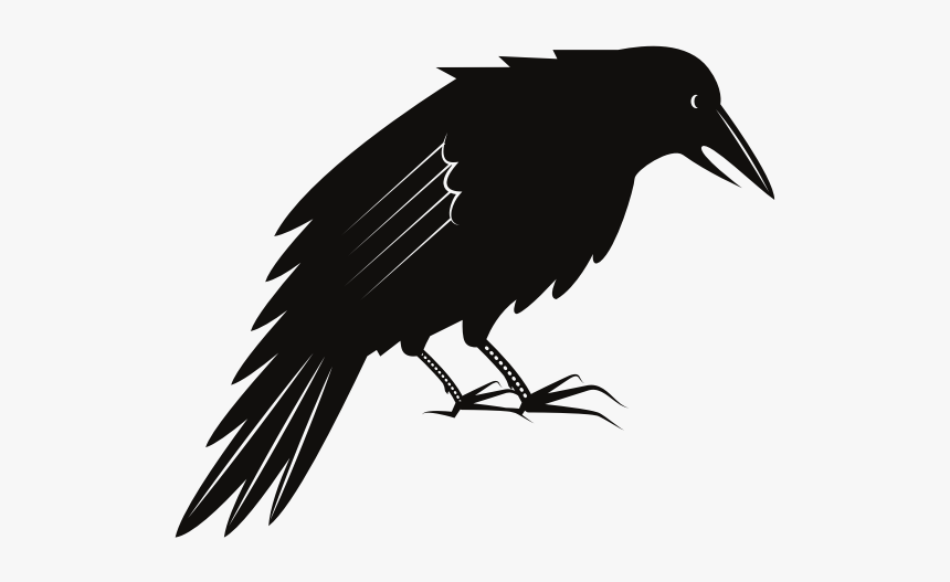 Black Crow Bird - Black Crow, HD Png Download
