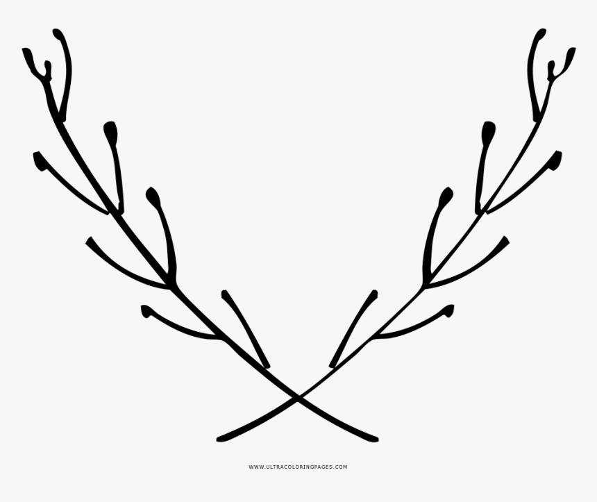 Aromatic Herbs Coloring Page - Portable Network Graphics, HD Png Download