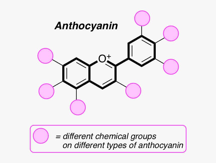 Anathema All Faith Is Lost, HD Png Download