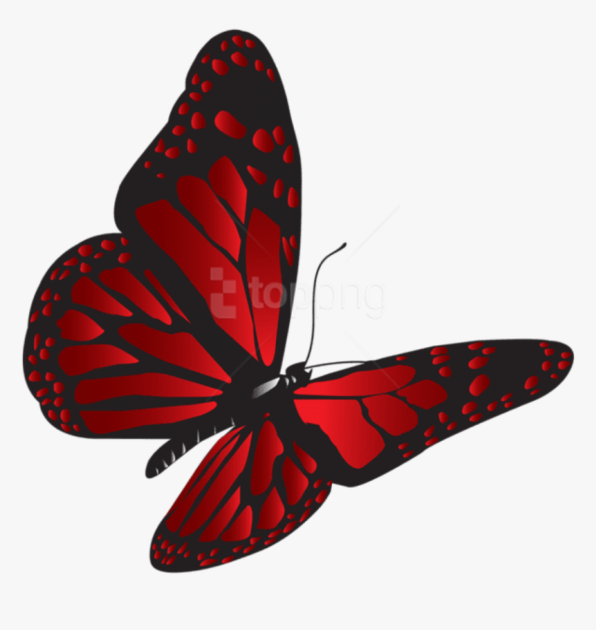 Download Red Butterfly Png Clipart Png Photo - Clipart Red Butterfly Png, Transparent Png