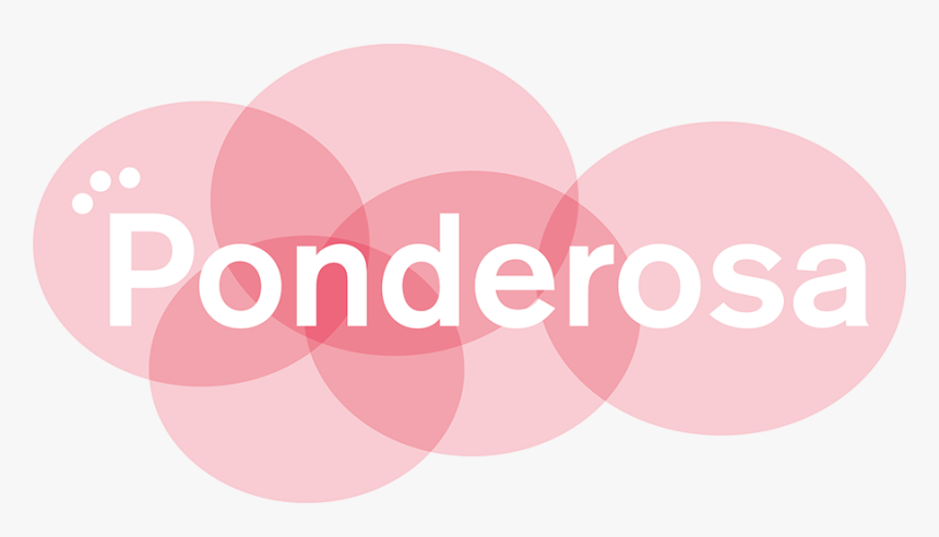 Picture - Circle, HD Png Download