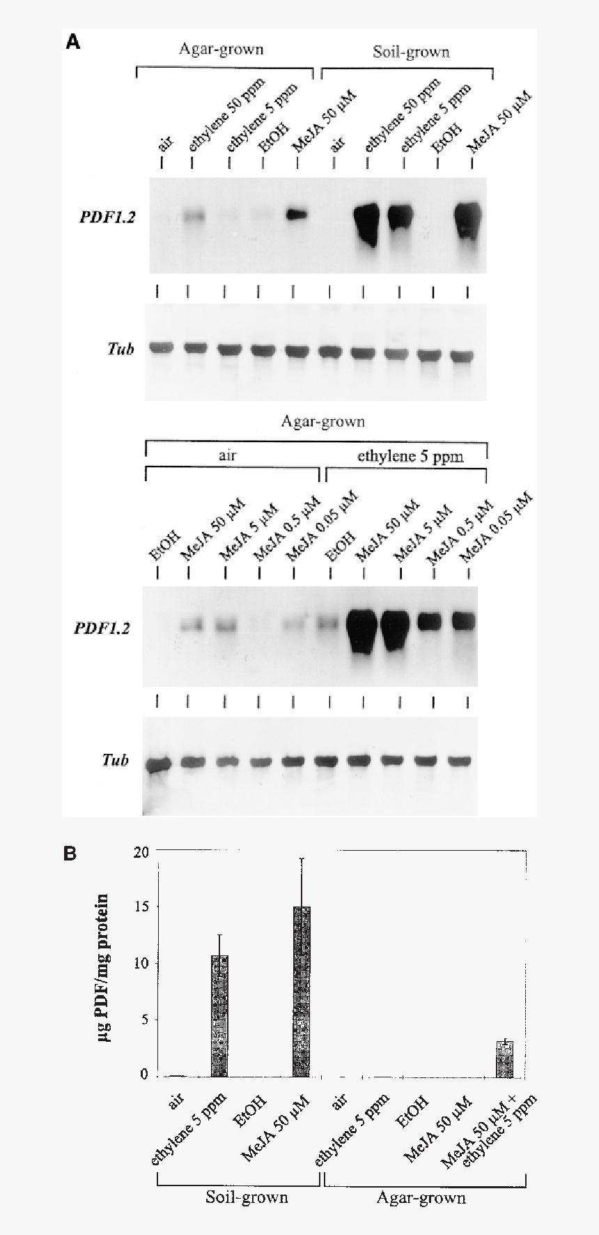 Sheet Music, HD Png Download