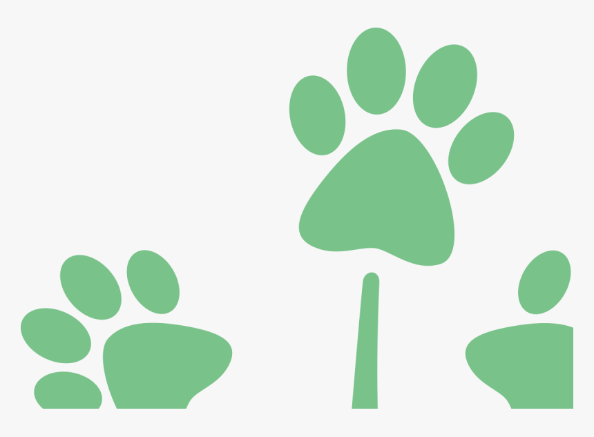 Green Paw Prints - Paw, HD Png Download