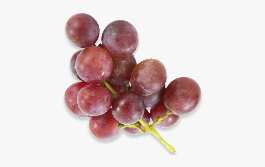 Grapes, Americas Breakroom - Pieces Of Grapes Png, Transparent Png