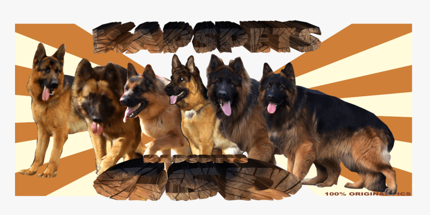 Old German Shepherd Dog, HD Png Download