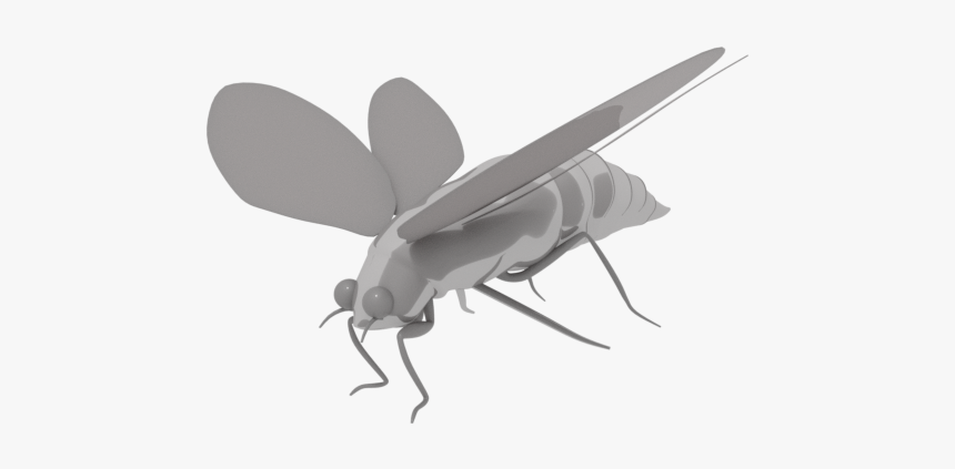 Hornet, HD Png Download