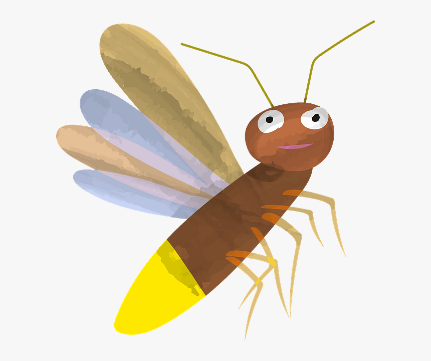 Net-winged Insects, HD Png Download