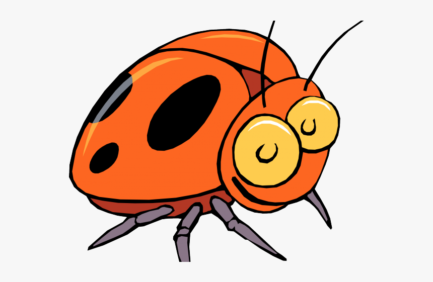 Insect Clipart, HD Png Download