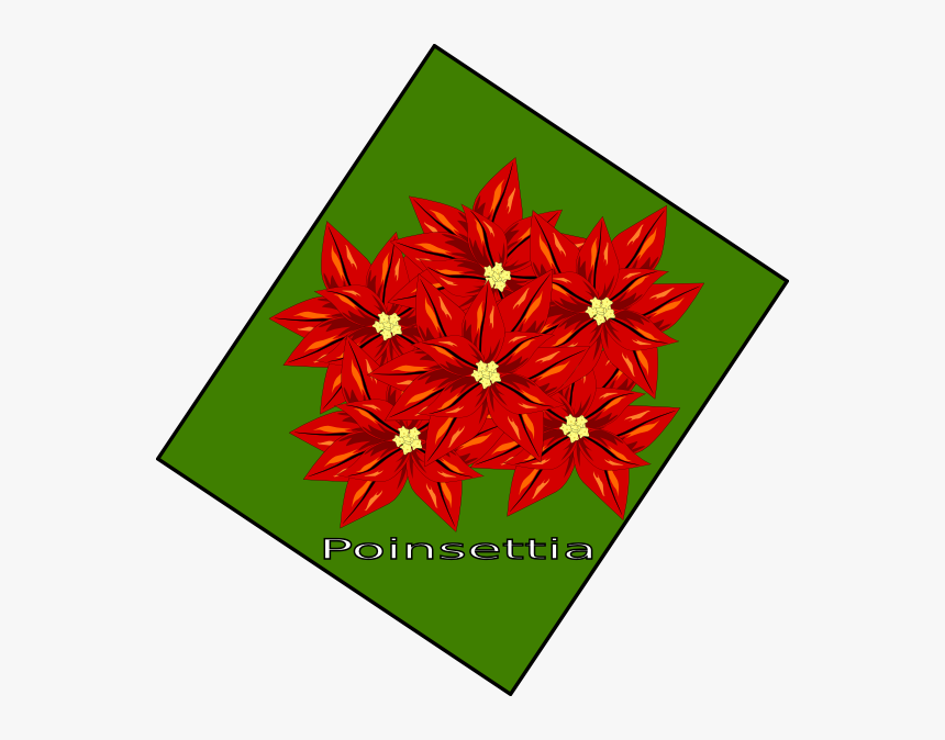 Flor De Navidad Clip Art - Illustration, HD Png Download