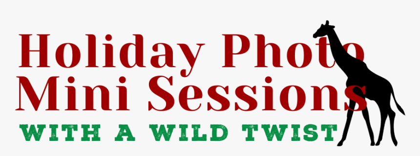 Holiday Photo Mini-sessions - Oval, HD Png Download