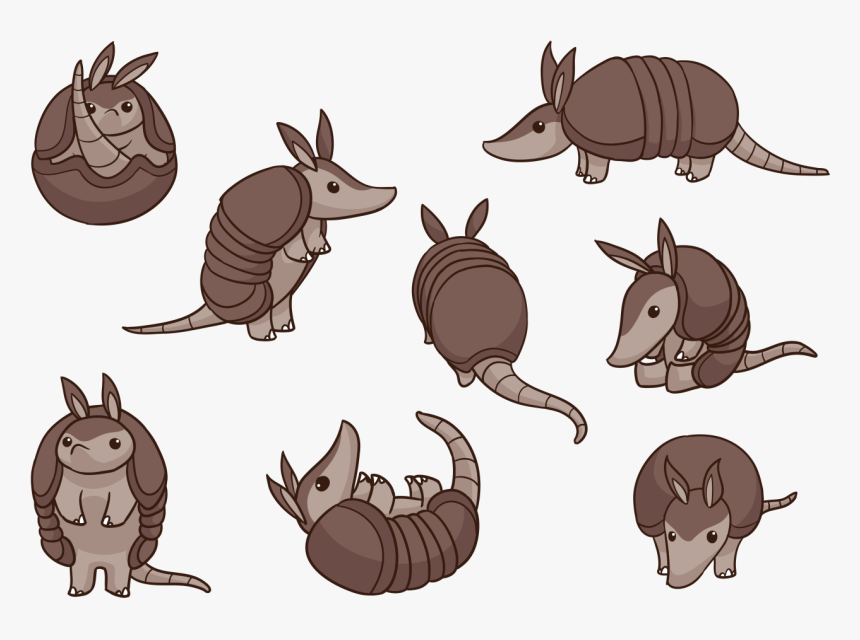 Armadillo Cartoon Vectors - Armadillo Vector, HD Png Download