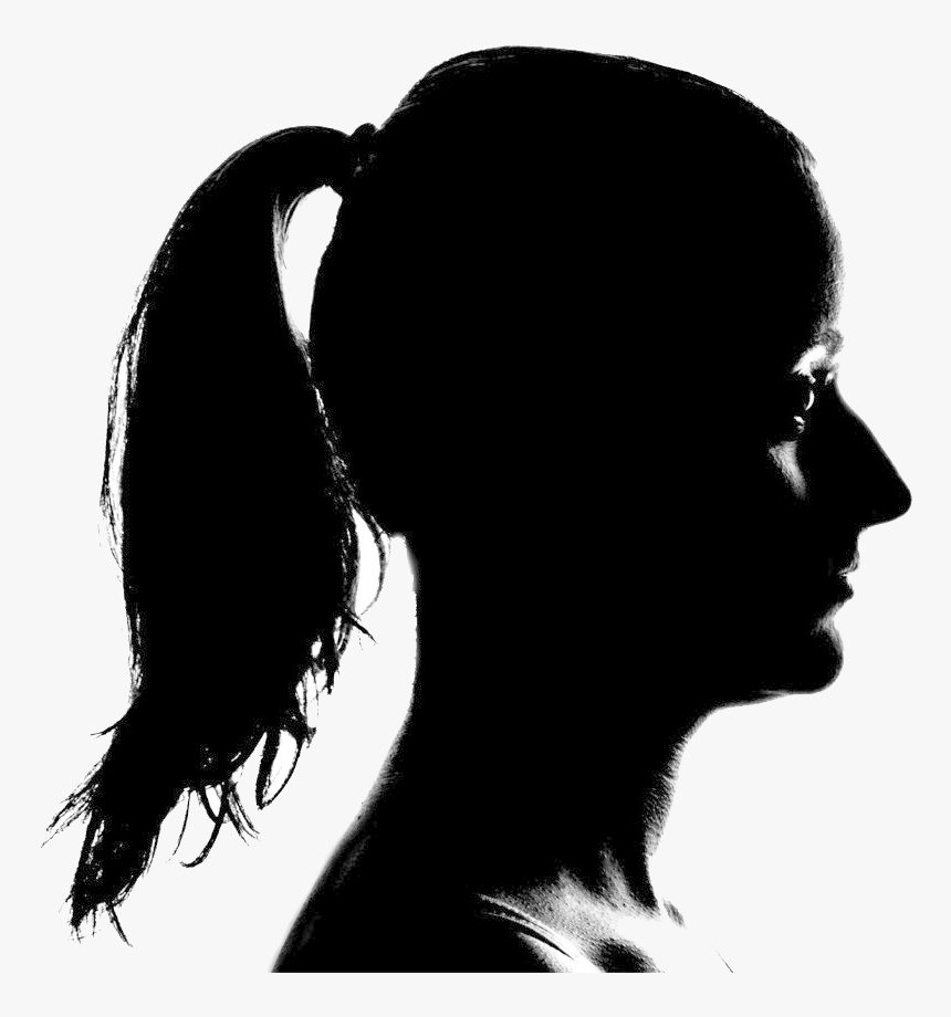 Chiropractor In Buffalo Grove, Il - Limbic System In Dogs, HD Png Download