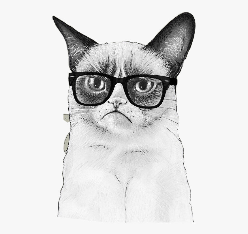 Grumpy Cat, HD Png Download