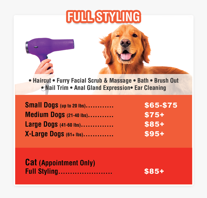 Utah Dog Grooming Prices, HD Png Download , Transparent Png Image PNGitem