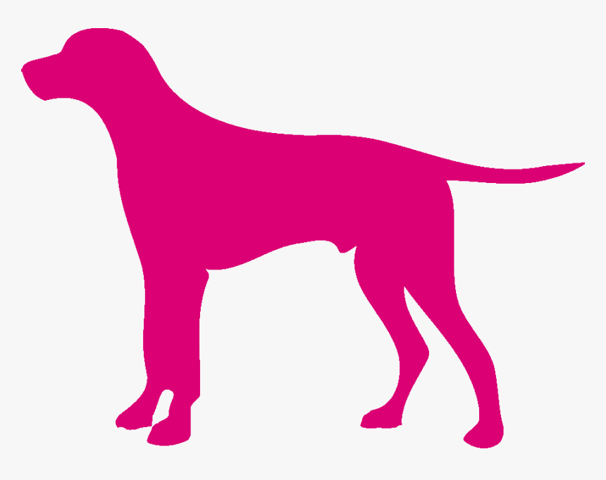 Hunting Dog, HD Png Download