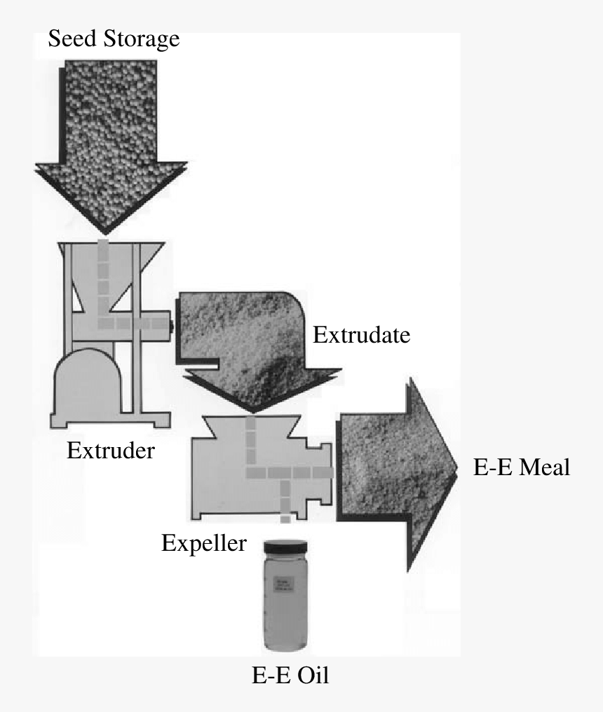 Diagram, HD Png Download