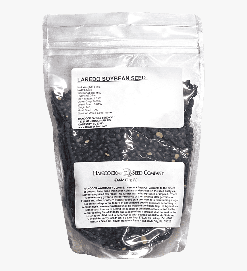 Sunflower Seed, HD Png Download