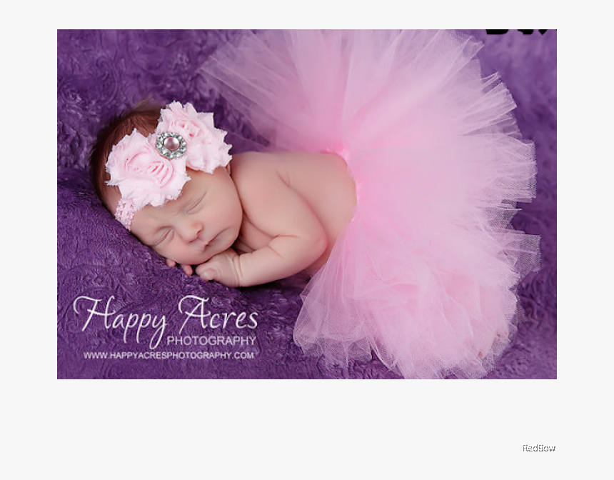 Newborn Tutu Set - Princess Has Arrived Meme, HD Png Download