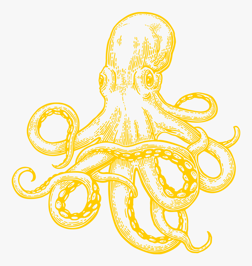 Octopus Drawing, HD Png Download