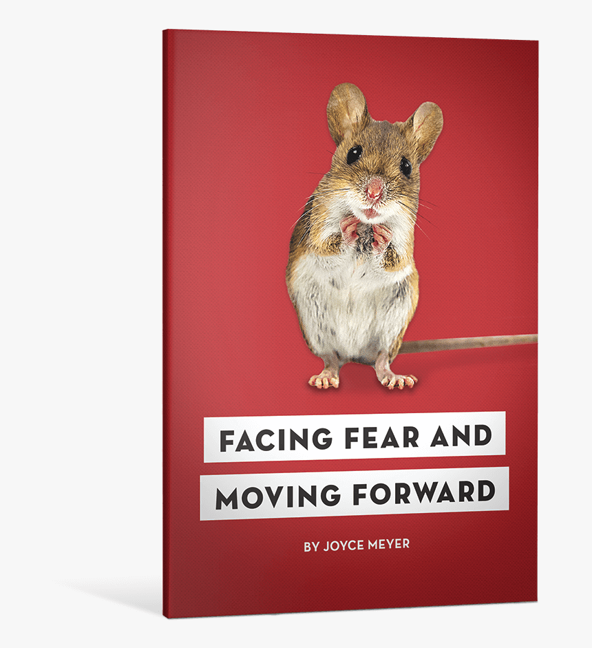 Kangaroo Rat, HD Png Download