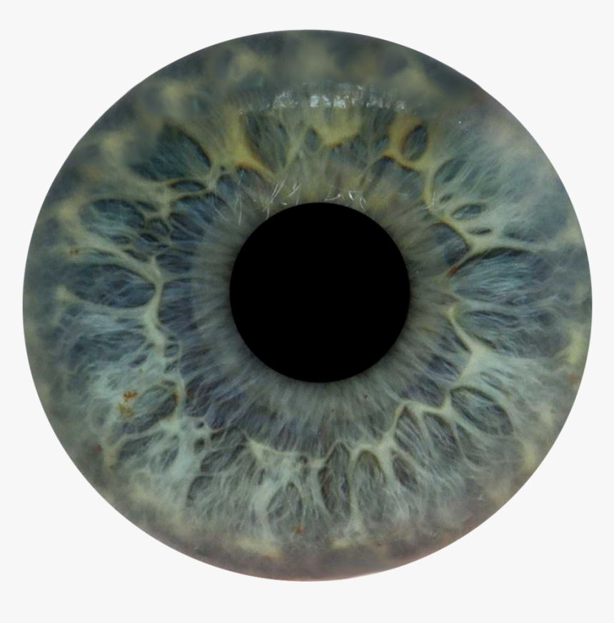 Pictures Laptop - Look And See, HD Png Download