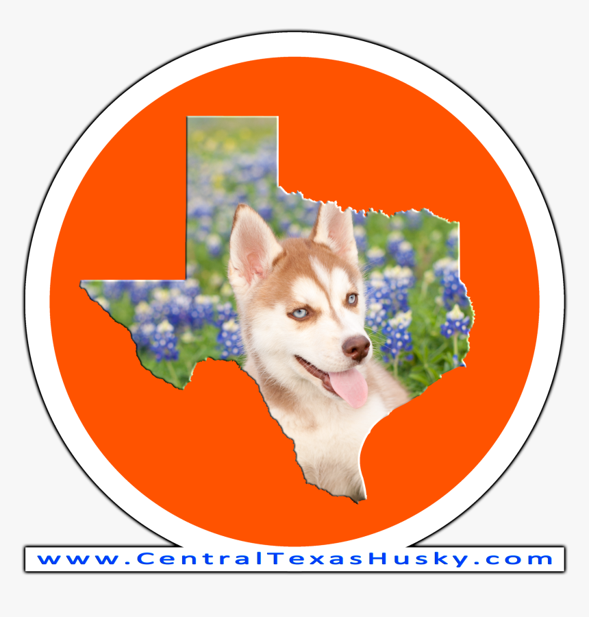 Sakhalin Husky, HD Png Download