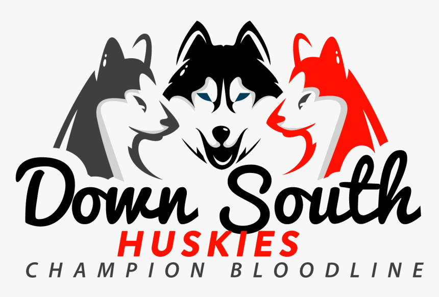 Image31 - Acosta Sales & Marketing, HD Png Download