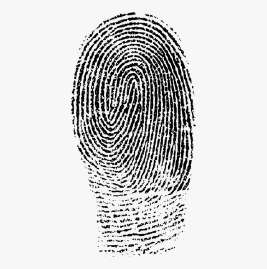 Fingerprint Png, Transparent Png
