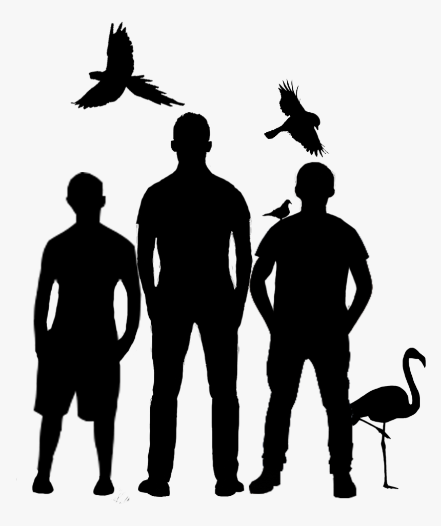 Isolated Birds Png, Transparent Png
