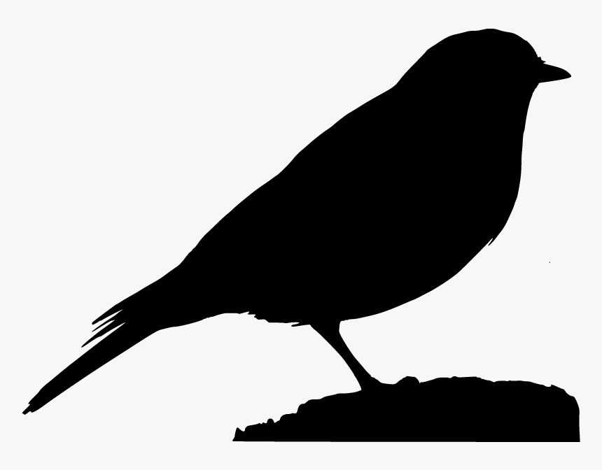 Scalable Vector Graphics, HD Png Download