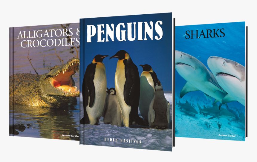 Adã©lie Penguin, HD Png Download