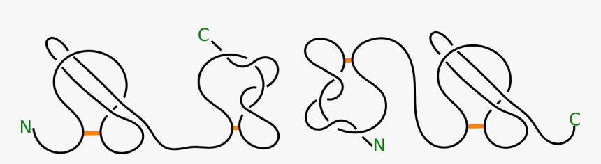 Line Art, HD Png Download