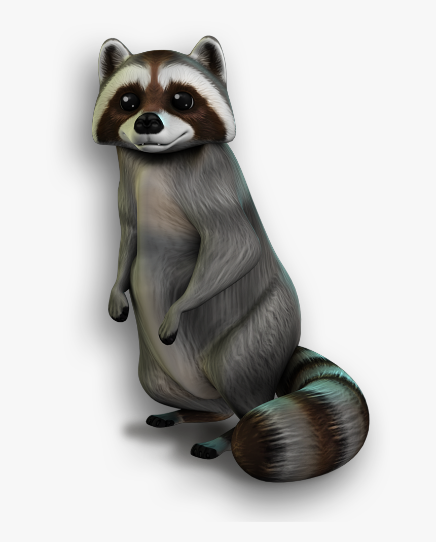 Heal The Wild Animals - Clipart Racoon Bear, HD Png Download
