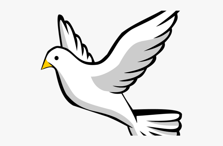 Dove Clipart Transparent Background, HD Png Download