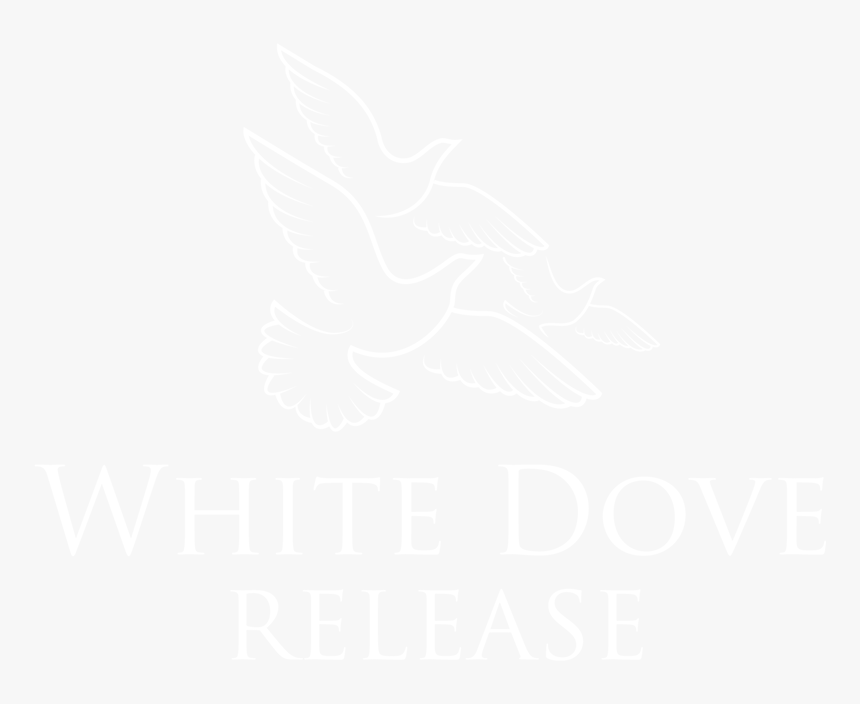 Close Icon White Png, Transparent Png
