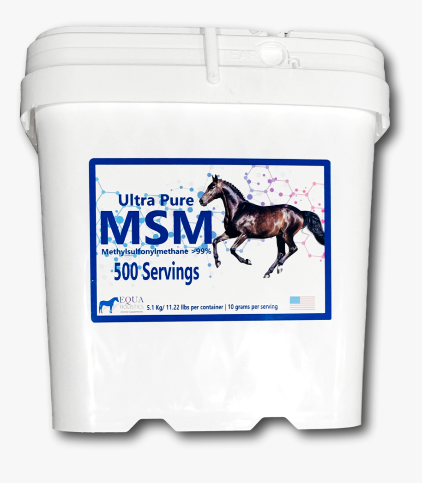 Foal, HD Png Download