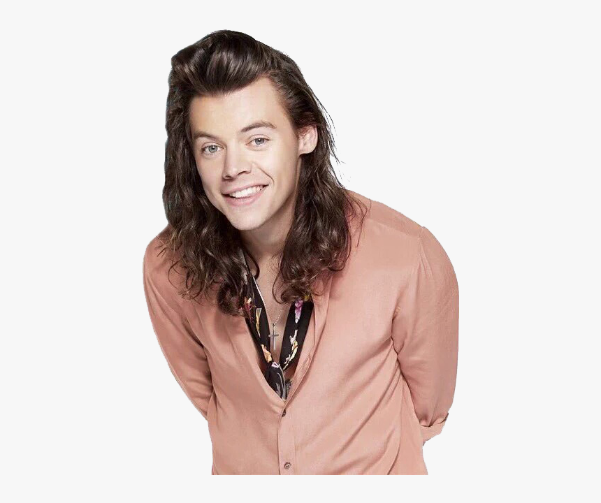 Thumb Image - Harry Styles Png 2016, Transparent Png