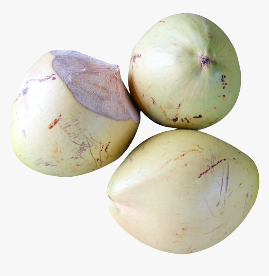 Top View Of Coconut Png Image - Portable Network Graphics, Transparent Png